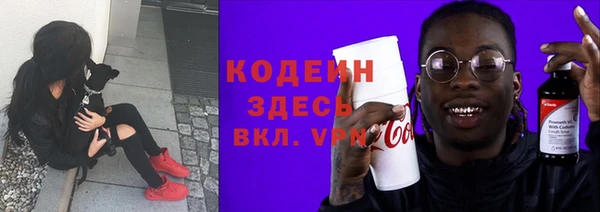эйфоретик Вяземский