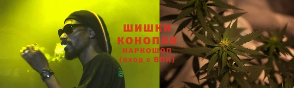 эйфоретик Вяземский