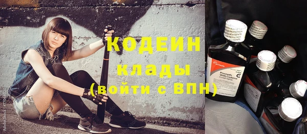 эйфоретик Вяземский