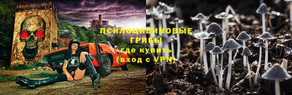 мдпв Вязники