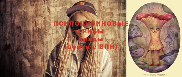 первитин Горняк