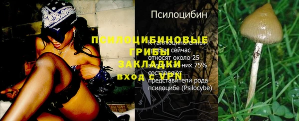 первитин Горняк