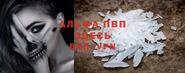 эйфоретик Вяземский