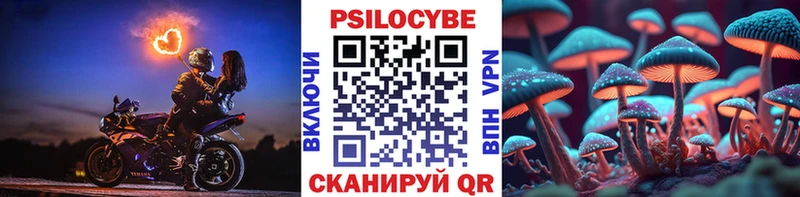 Псилоцибиновые грибы мицелий  KRAKEN рабочий сайт  Курган  купить закладку 